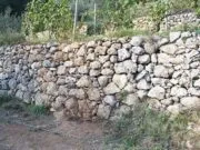 Cinque Terre, fondi per i muri a secco: 850mila euro stanziati Cinque Terre, fondi per i muri a secco: 850mila euro stanziati